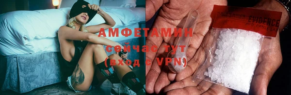 тгк Дмитриев