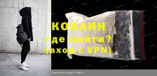 тгк Дмитриев