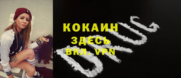 тгк Дмитриев