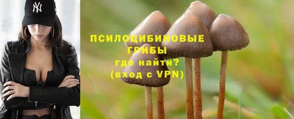 дурь Дмитров