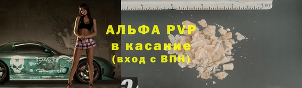 тгк Дмитриев