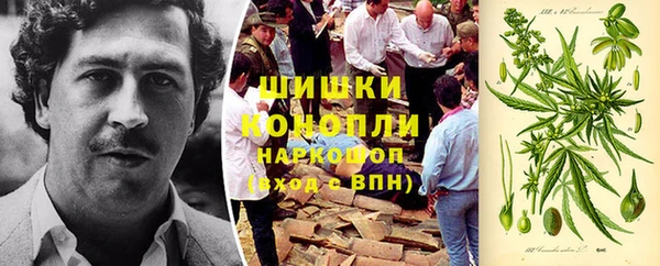 гидра Елабуга