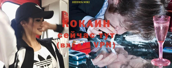 тгк Дмитриев